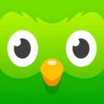 Duolingo app icon