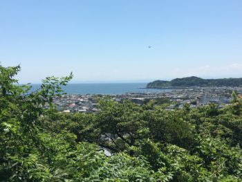 A view of sagami bay through the treetops