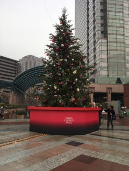 An 8m Christmas tree with large ornaments