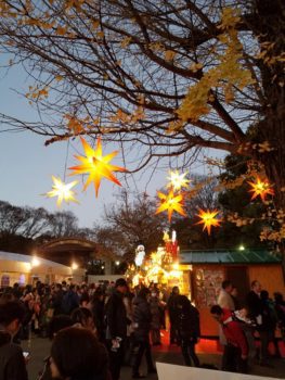 Star lights lit up in trees at dusk