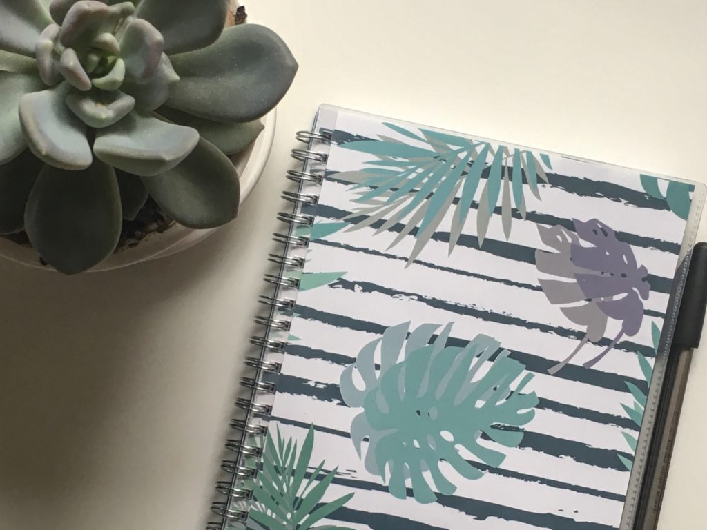 A succulent sits at the top left of the photo. The majority of the image is of a paper planner, decorated in plant leaves